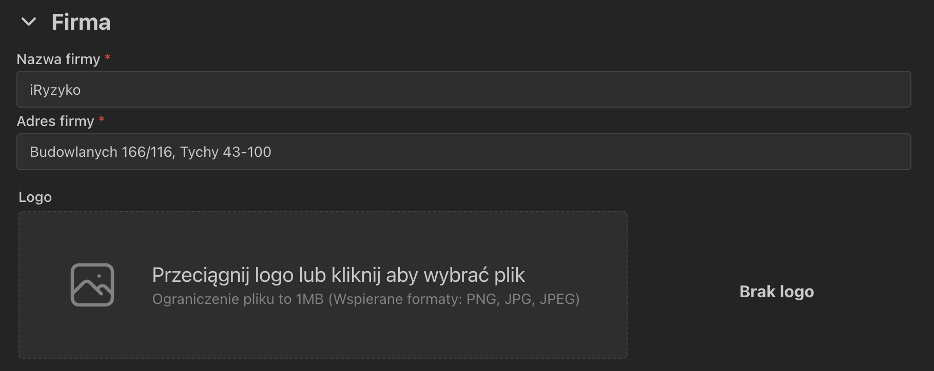 Widok przed dodaniem logo